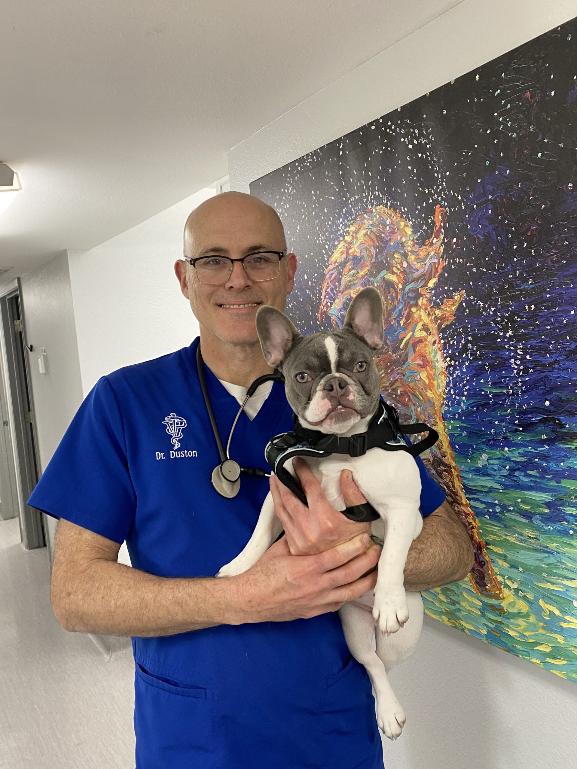 Our Veterinary Staff In Goodyear, AZ | Agua Fria Animal Hospital